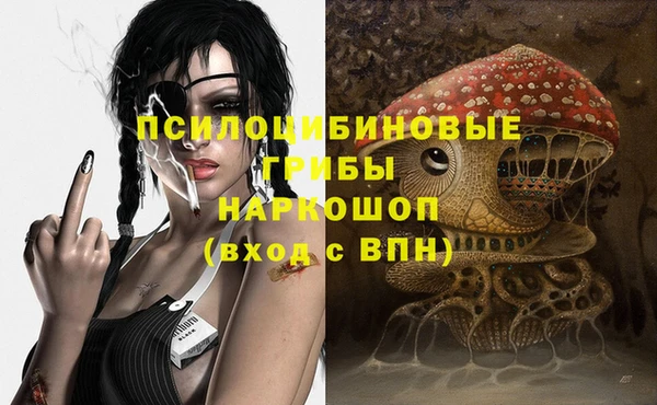 гидра Баксан