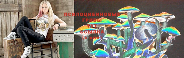 спиды Семёнов